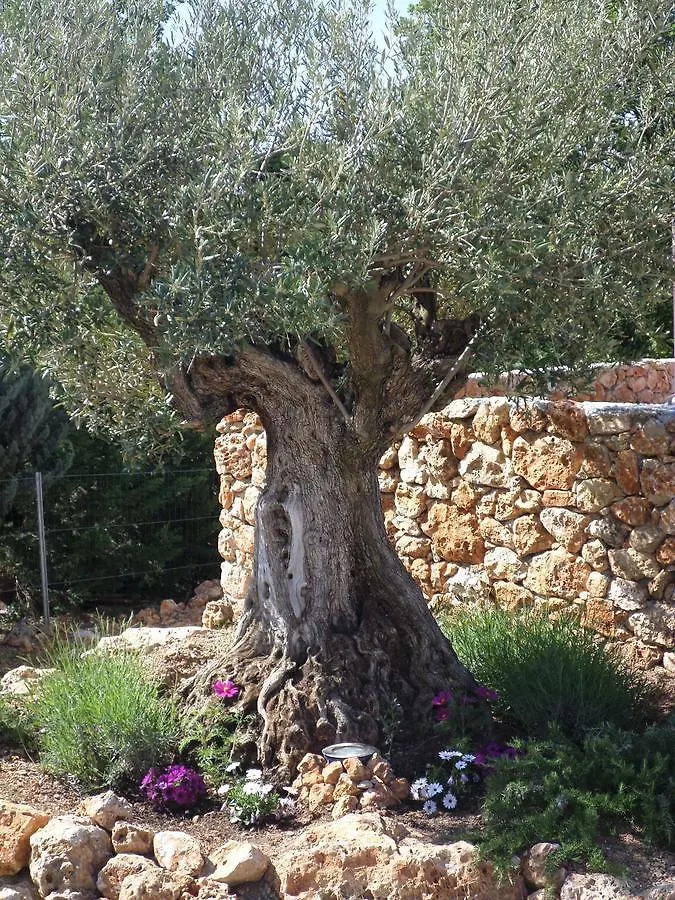 Le Clos Des Cambres Les Arcs-sur-Argens